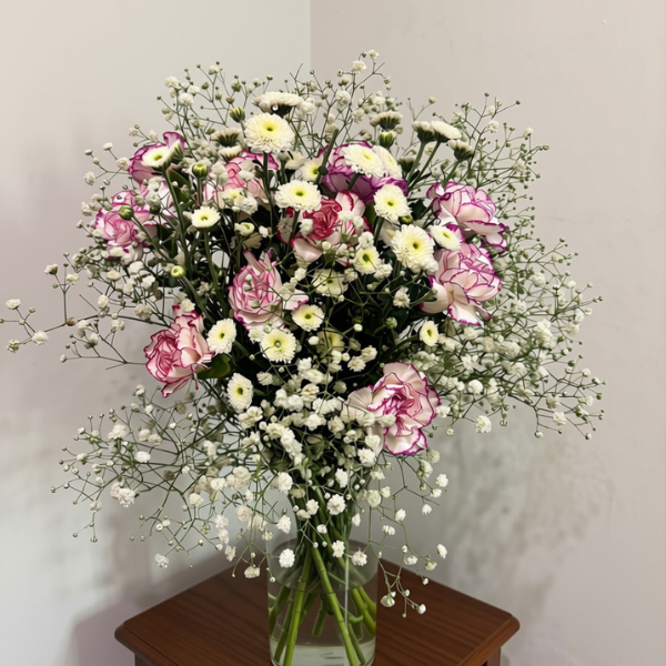 Carnations Lover