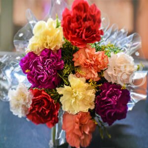 Colorful Carnations