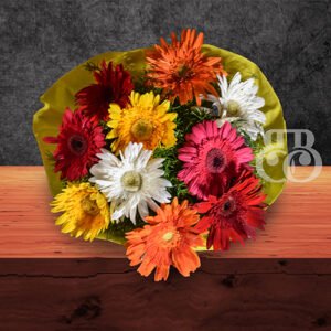 Colorful Gerbera