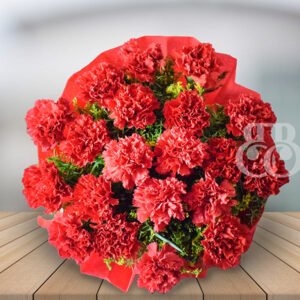 Red Carnations