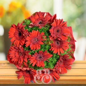 Red Gerberas