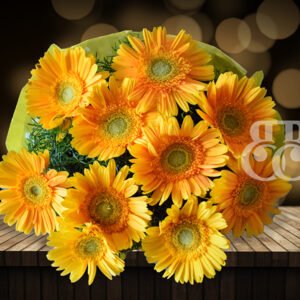 Yellow Gerberas