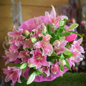 Pink Lilies