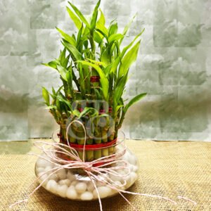 Special Bamboo Vase