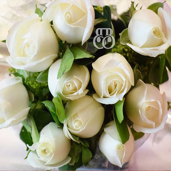 white rose
