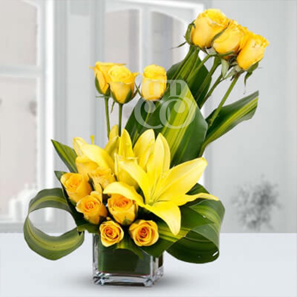 yellow rose