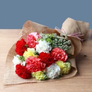 Vintage Carnations