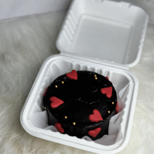 Choco Bliss Bento Cake