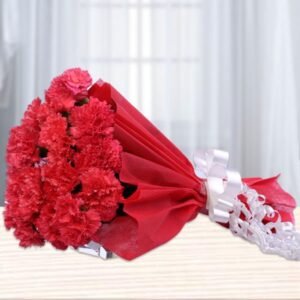 Red Pocket Carnations