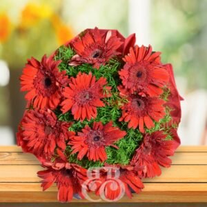 Red Gerberas